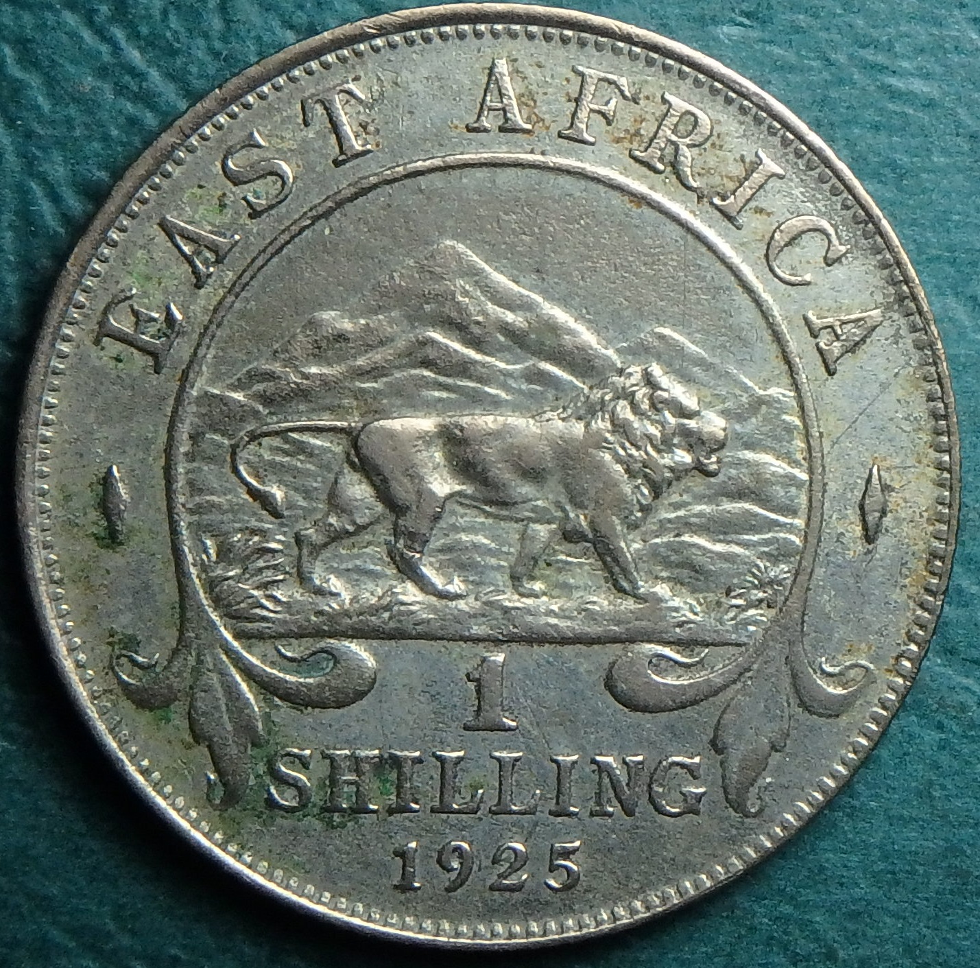 1925 EA shilling rev.JPG