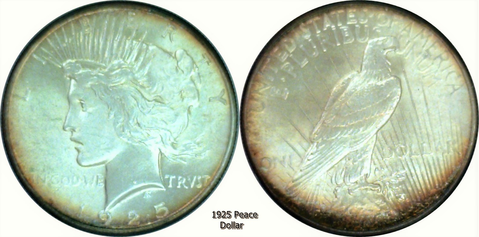 1925 P Peace Dollar (2).jpg