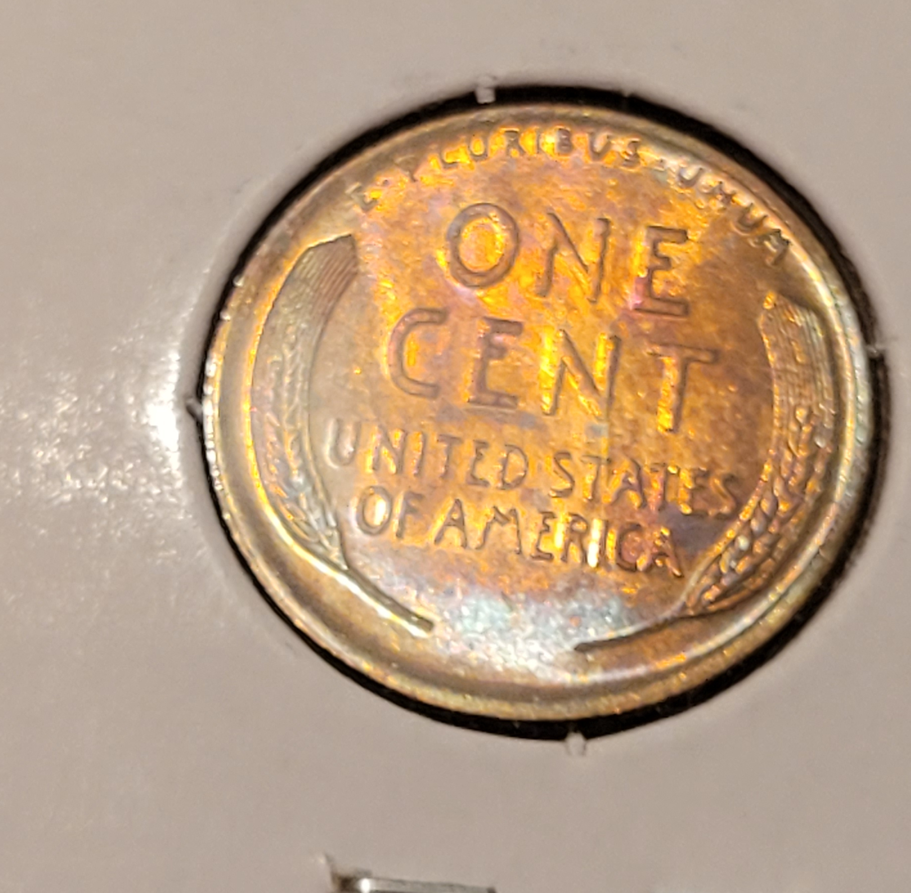 1925 P tone view.jpg