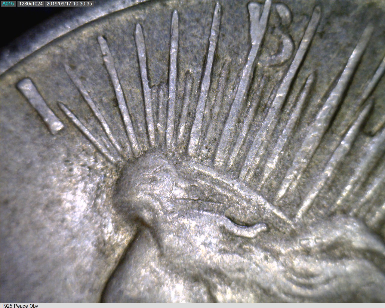 1925 Peace 3.jpg