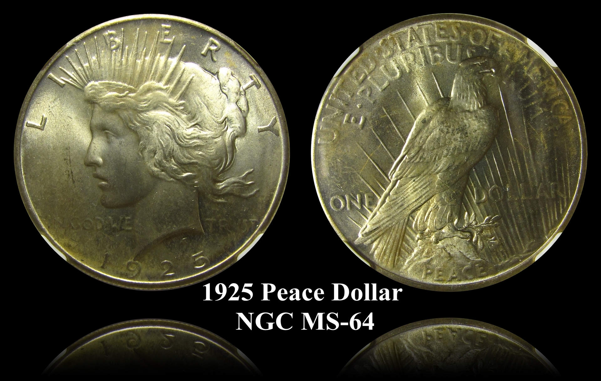 1925 Peace Dollar Gold Toned.jpg