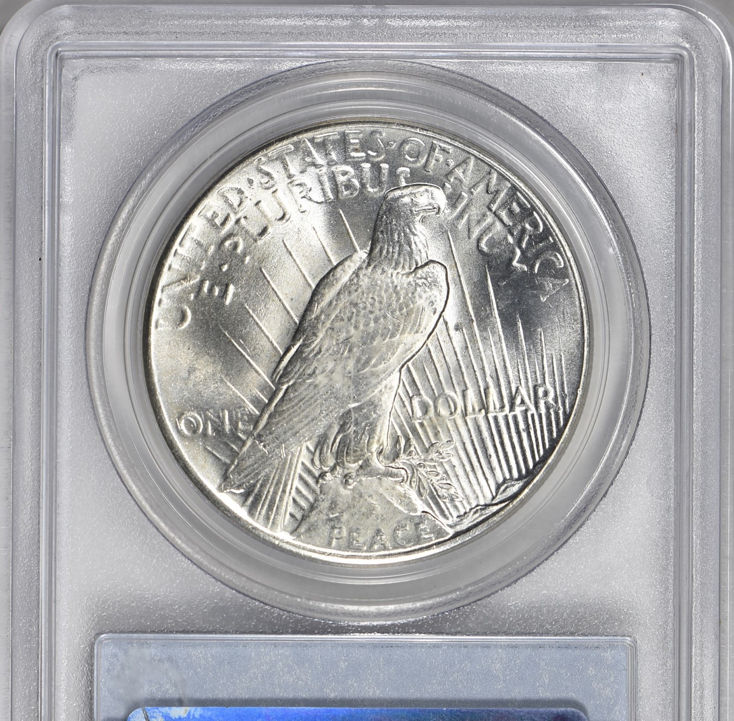 1925 Peace MS66CAC rev.jpg