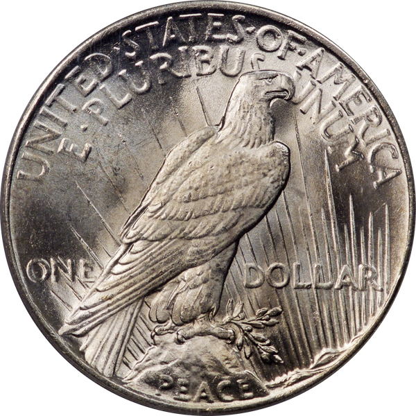 1925 Peace PCGS MS66 rev.jpg