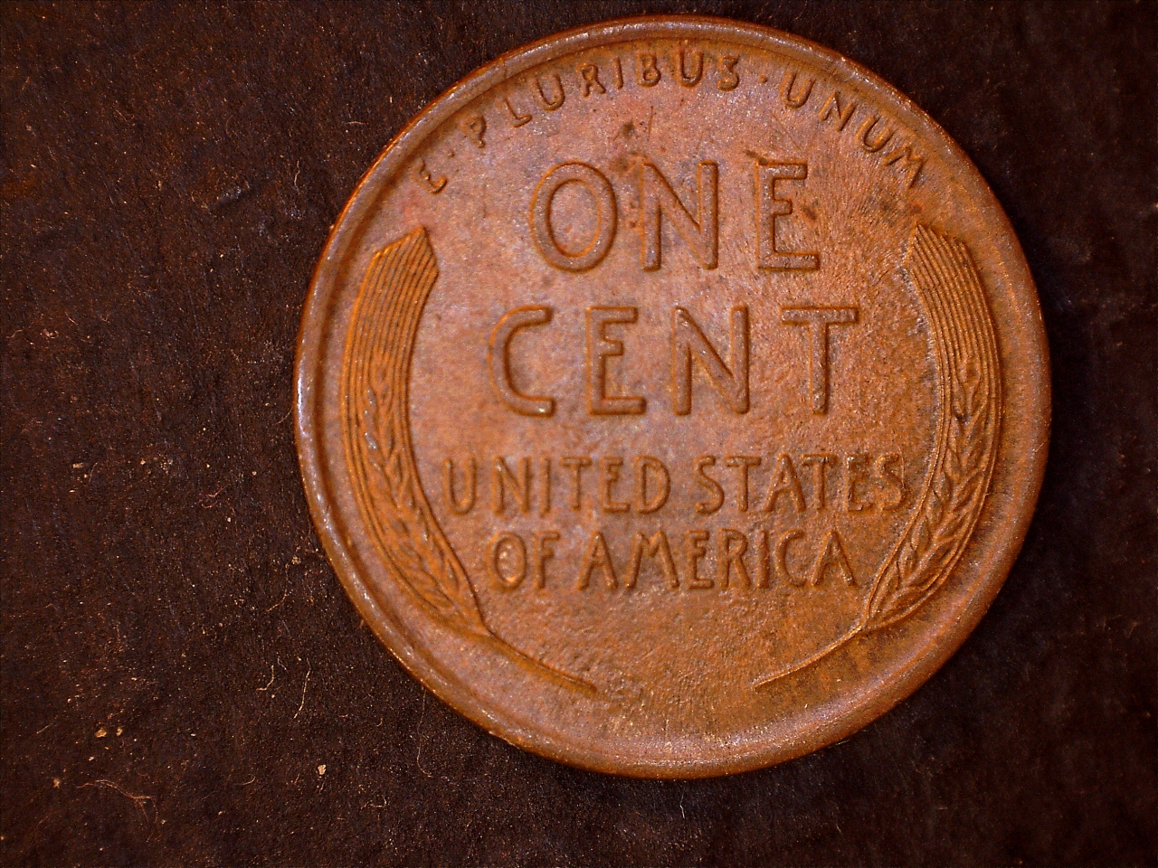 1925 r.jpg