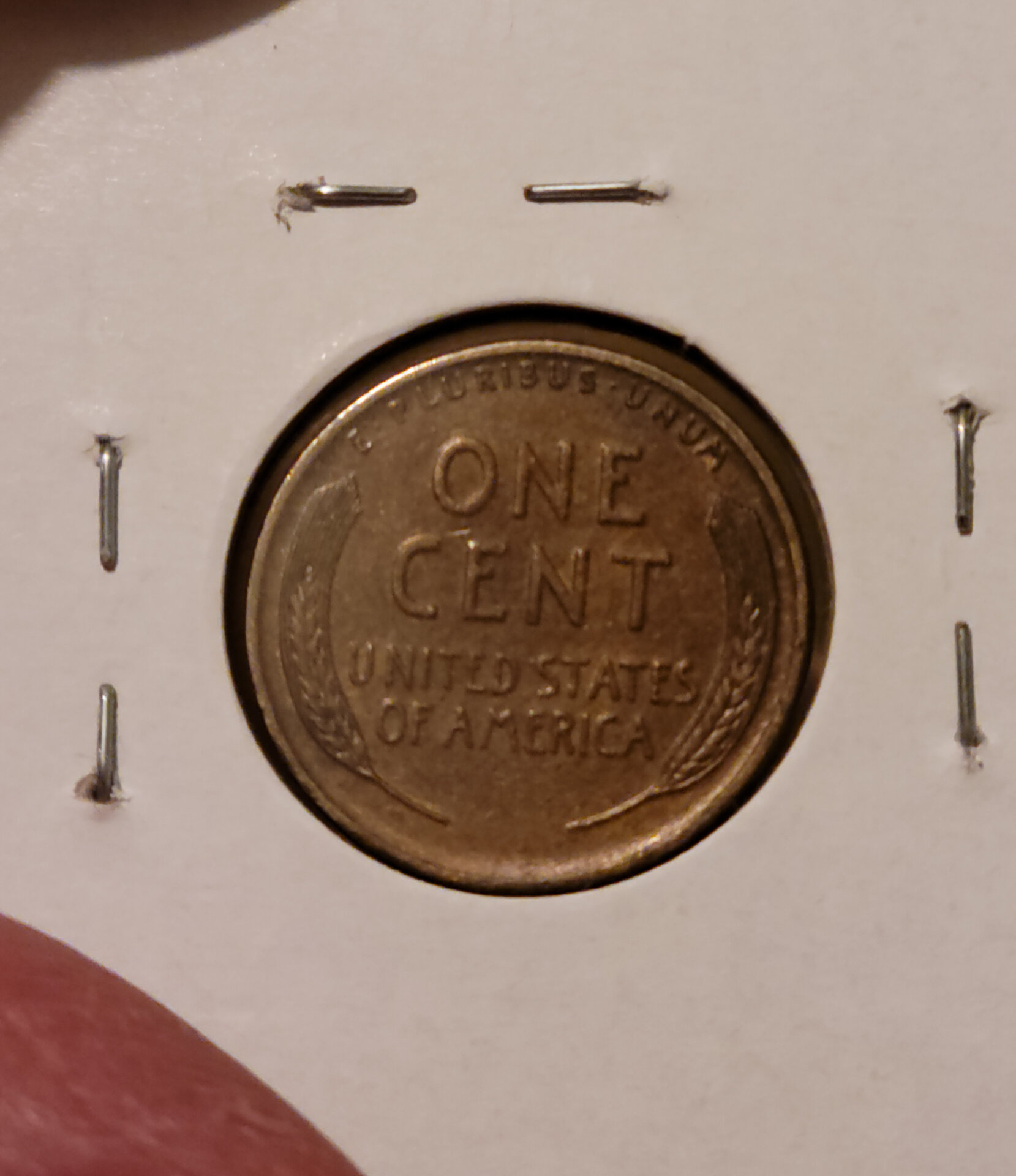 1925 s reverse.jpg