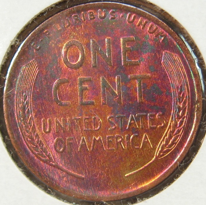 1925- WG64 R.JPG