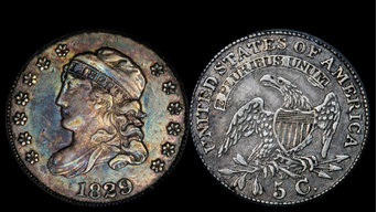 19250-1.jpg