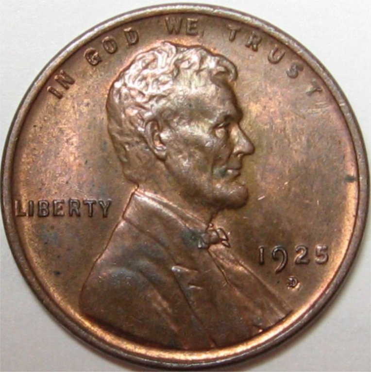 1925Dscotty.jpg