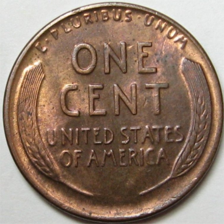 1925DscottyREV.jpg