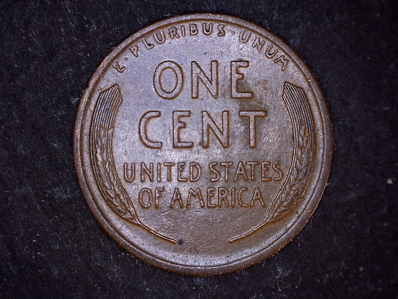 1925R.jpg