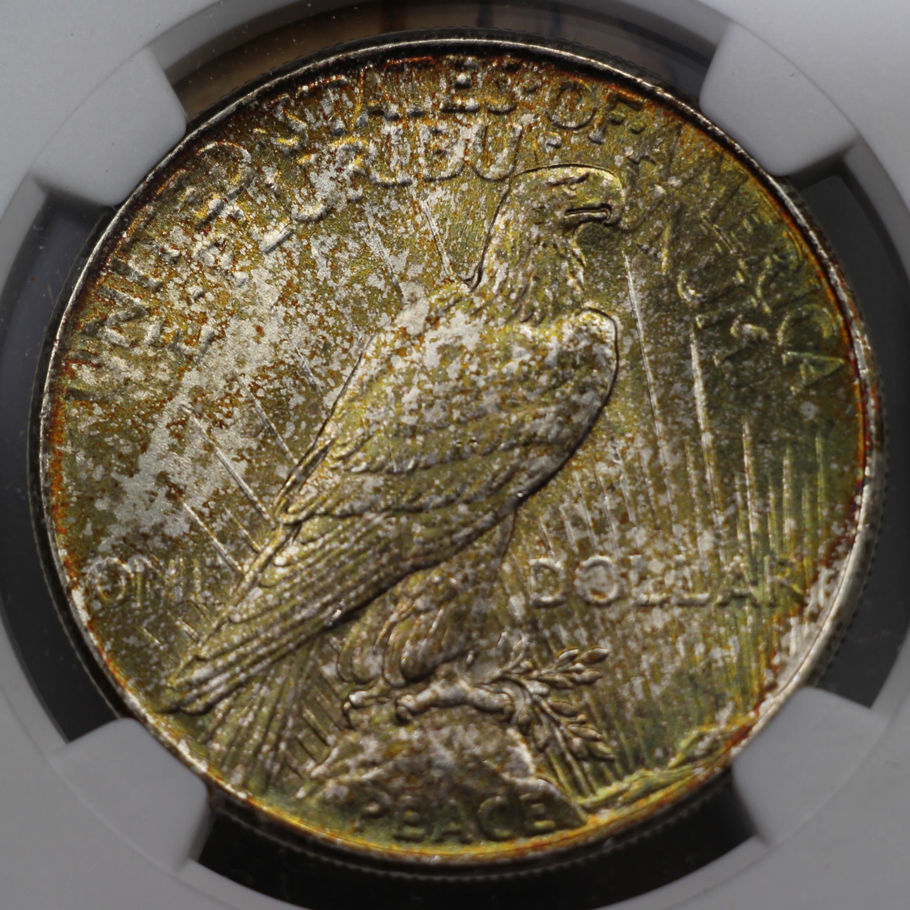 1925toned_reverse.jpg