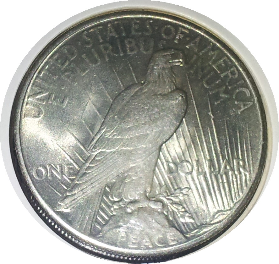 1926 USA Peace Dollar MS63 Rev.JPG