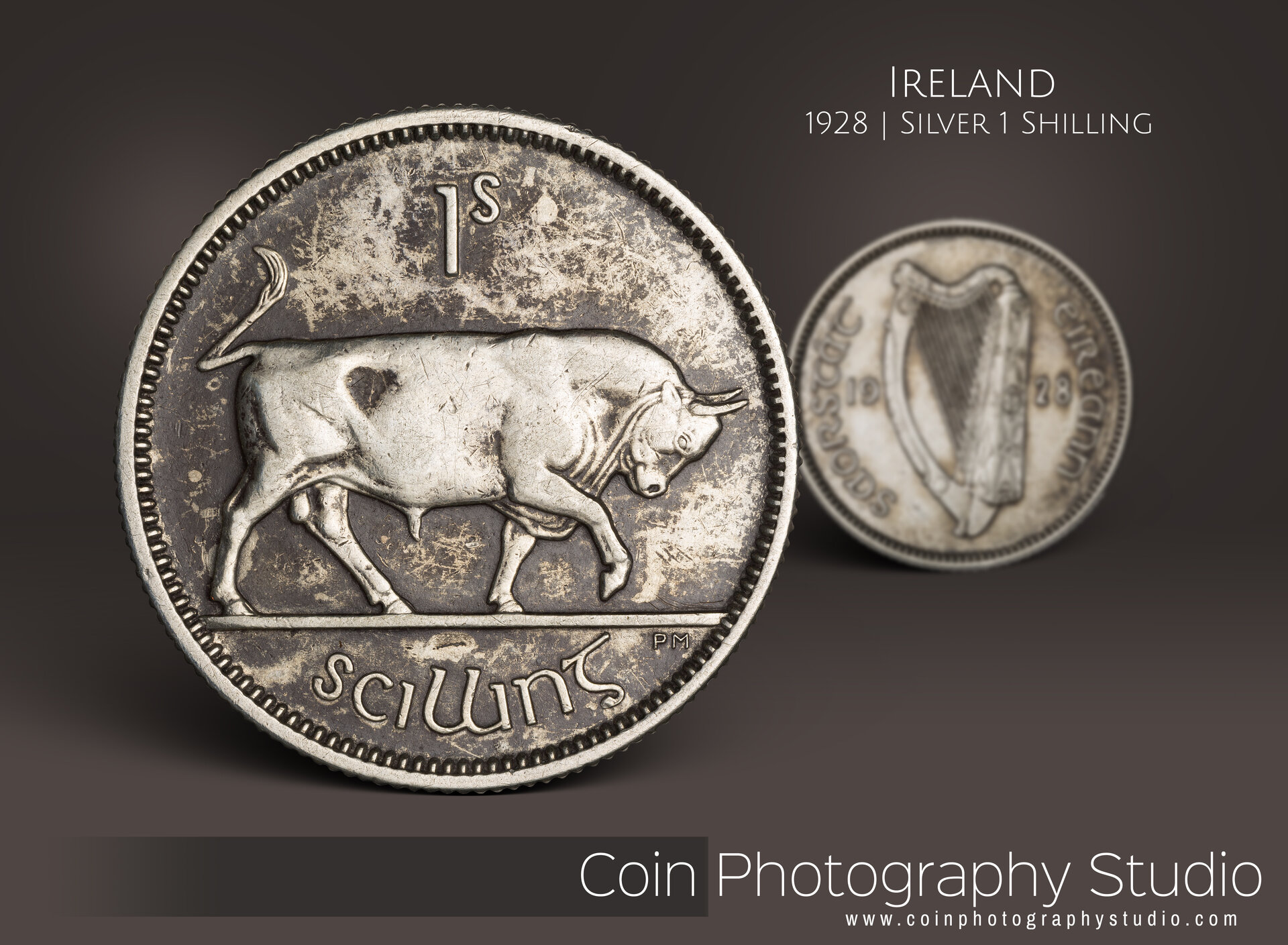 1928 IRISH BULL.jpg
