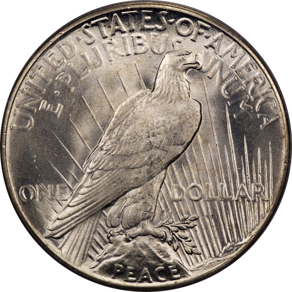 1928 Peace PCGS MS65 rev.jpg