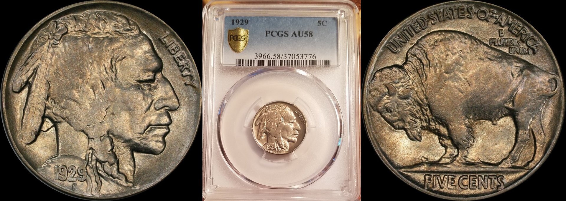 1929 5c Buffalo Nickel PCGS AU58 A-horz.jpg
