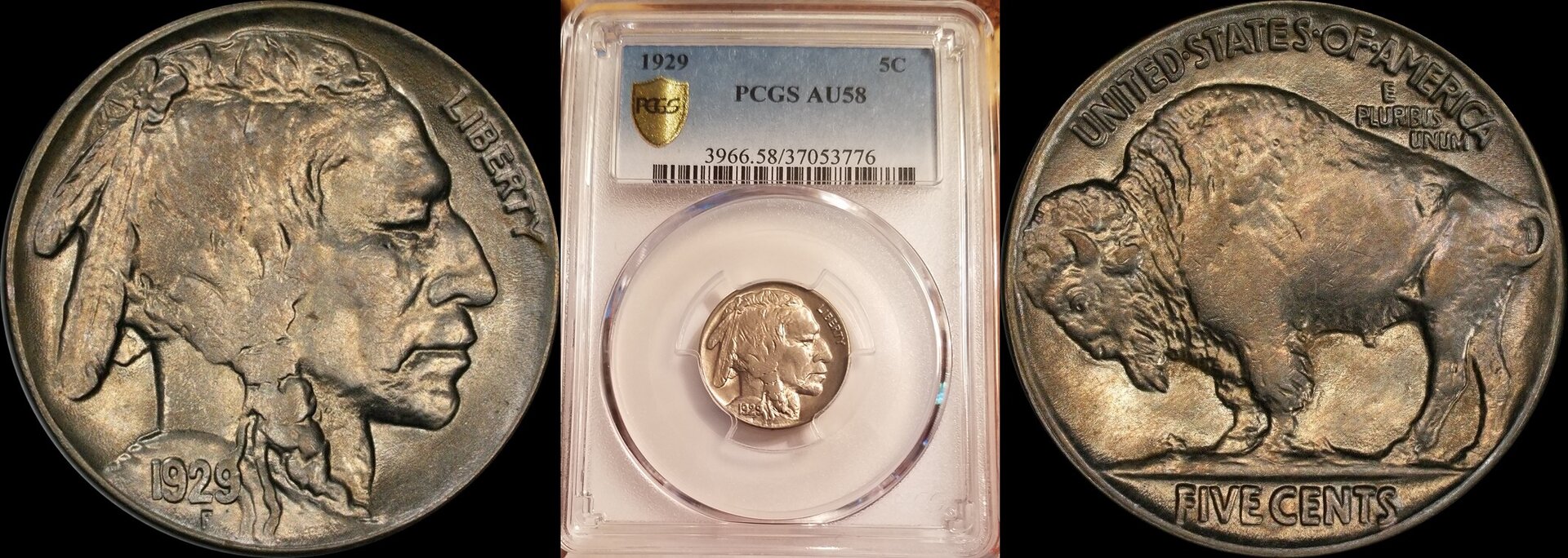 1929 5c Buffalo Nickel PCGS AU58 A-horz.jpg