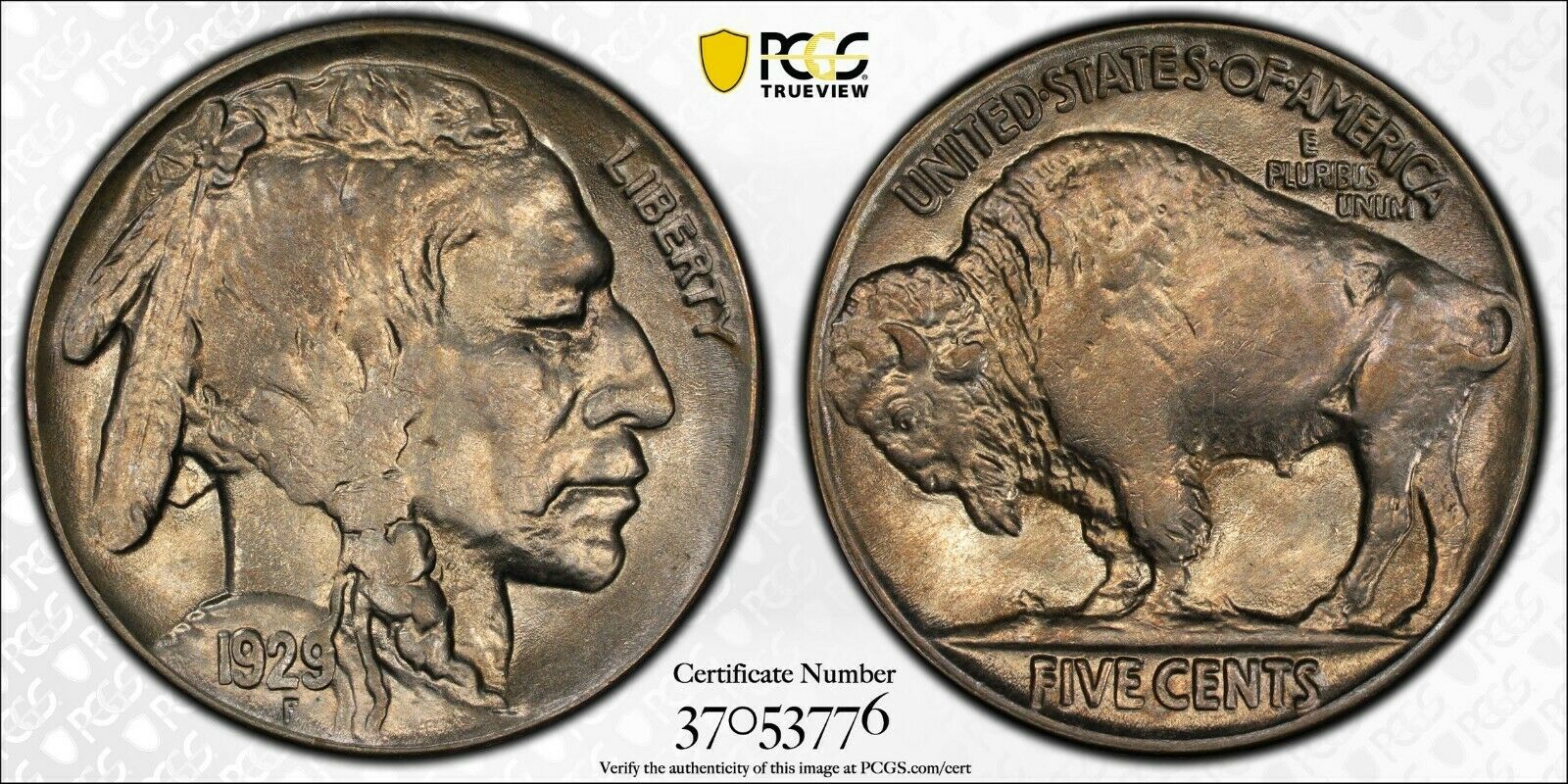 1929 5c Buffalo Nickel PCGS AU58.jpg