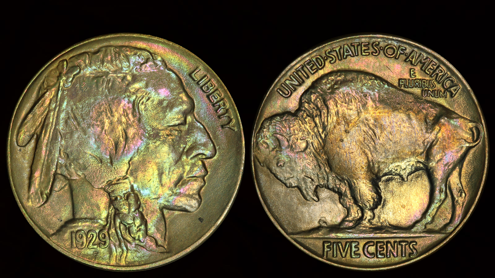 1929 Buffalo Nickel.jpg