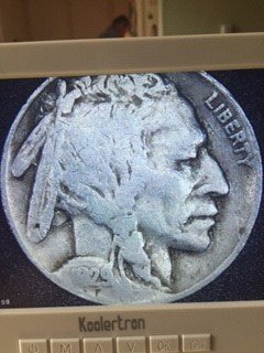 1929 Buffalo Nickle.jpg