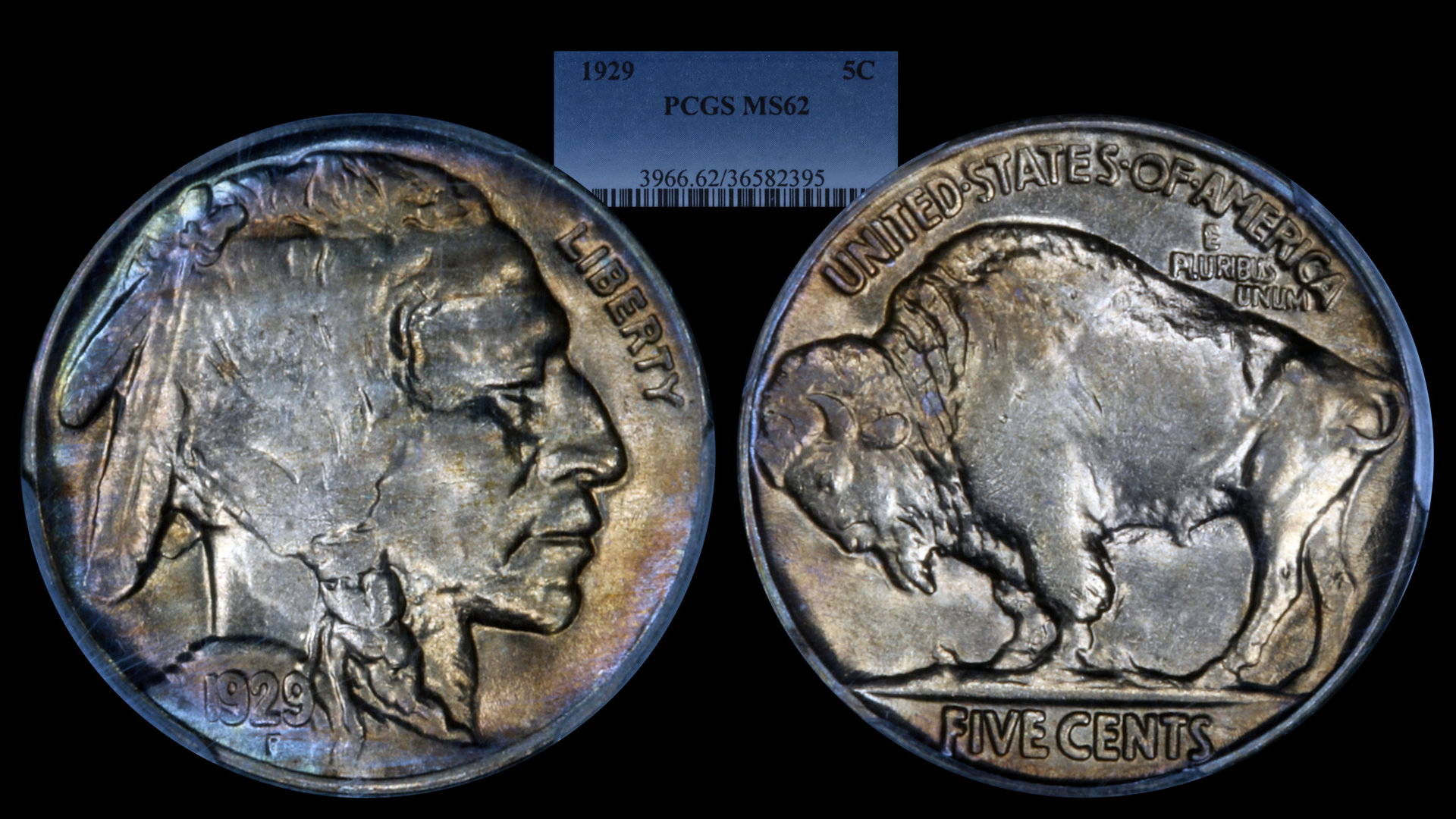 1929 Buffalo PCGS MS62 Toned.jpg