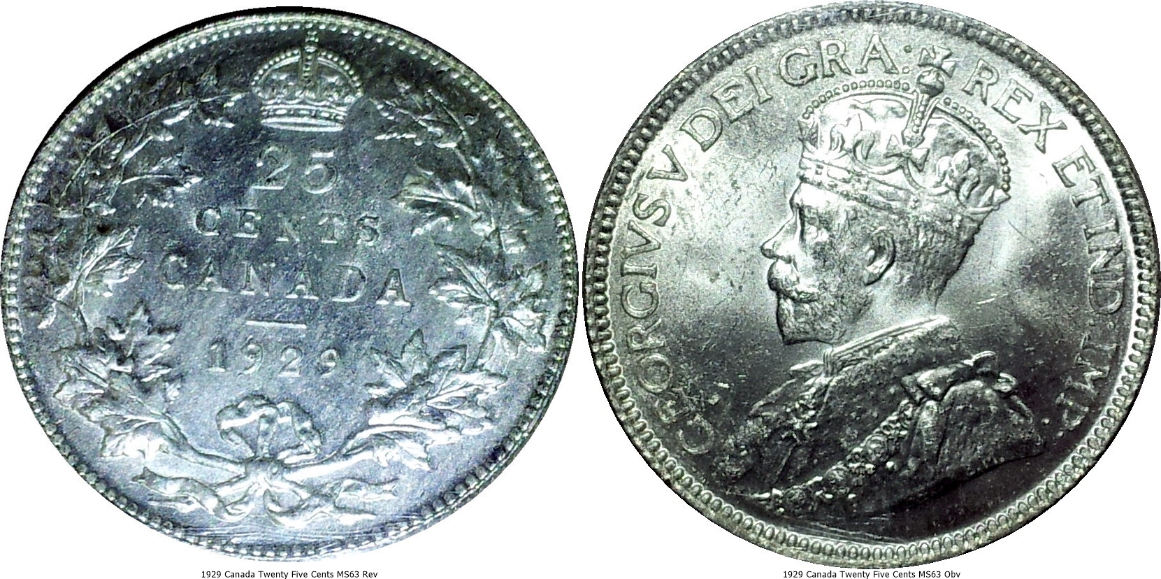 1929 Canada Twenty Five Cents MS63 -tile.jpg