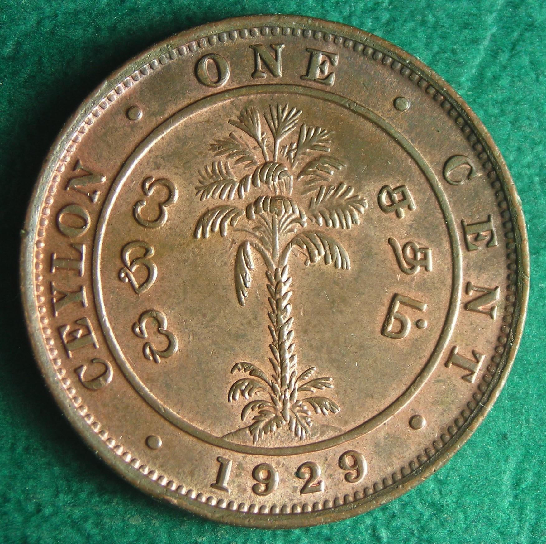 1929 Cey 1 c rev.JPG
