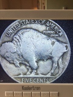 1929 reverse buffalo nickle.jpg