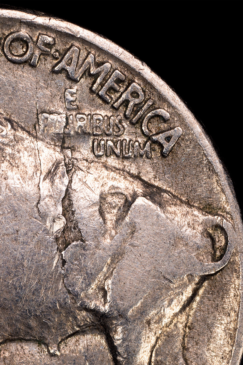 1929-S-Buffalo-Nickel-Reverse-Detail.jpg