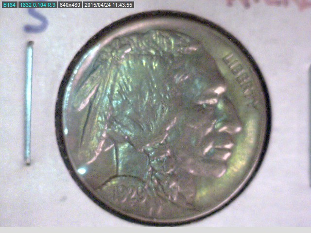 1929 S Buffalo obv. 1.jpg