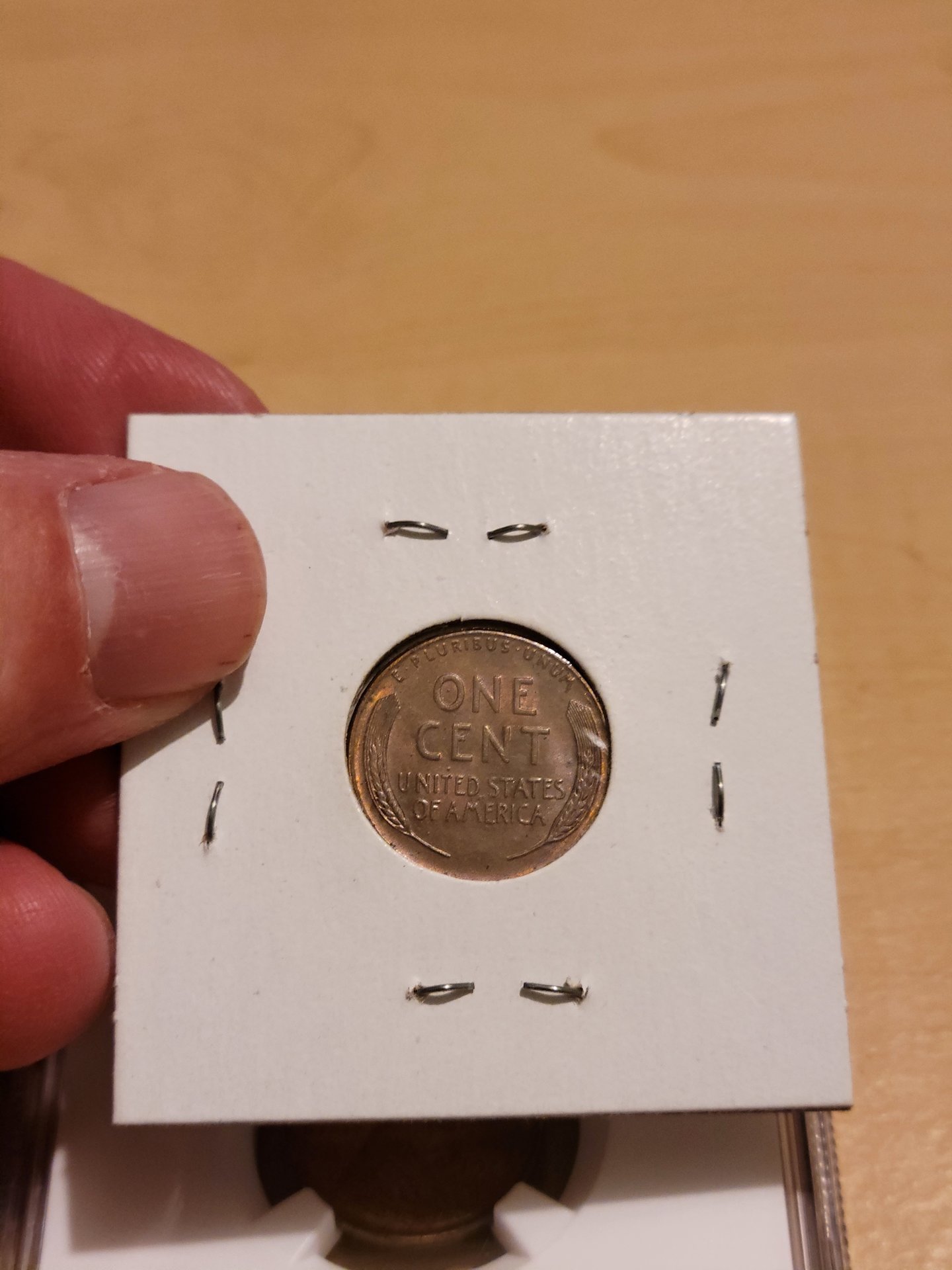1929 s reverse.jpg