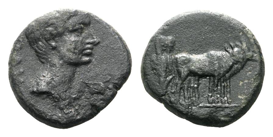 1929416.jpg