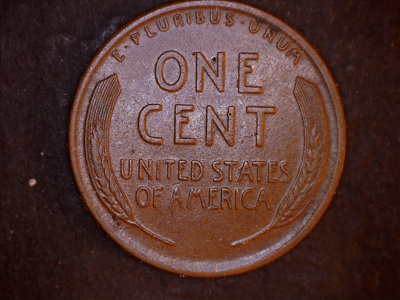 1929D r.jpg