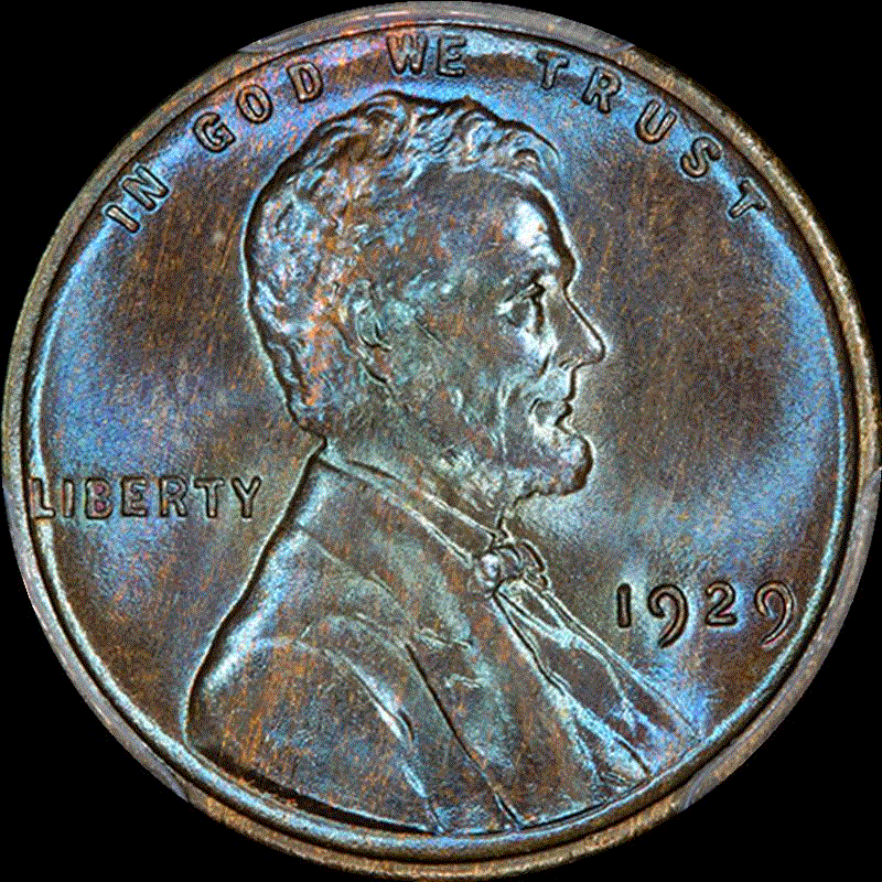 1929Linc_MS63BNo_01.gif