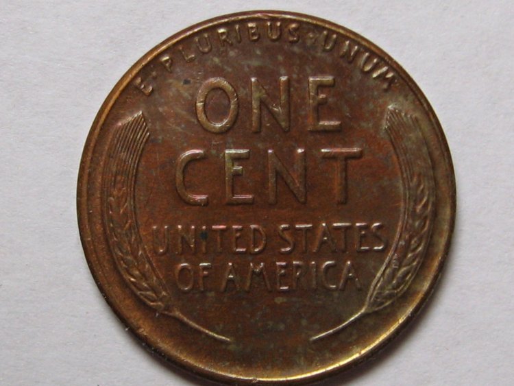 1929ScoopREV.jpg
