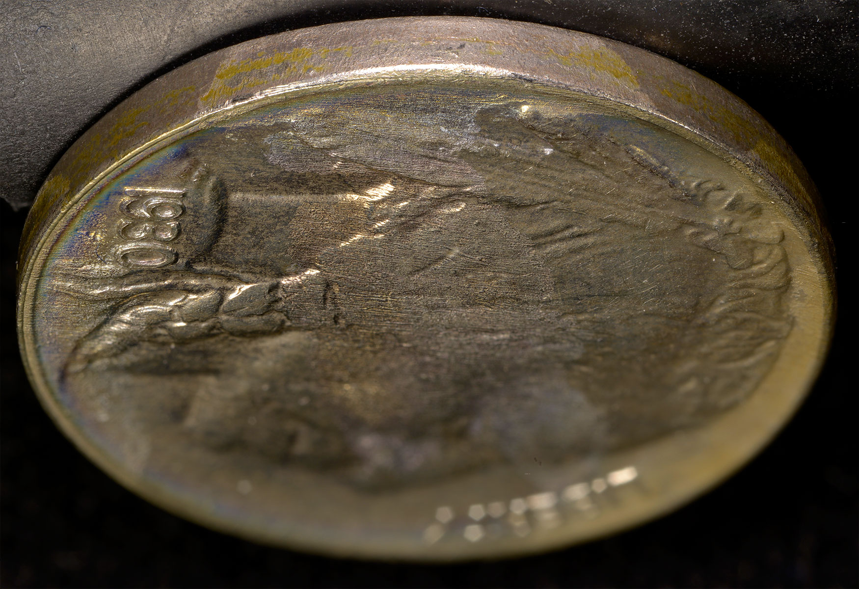 1930-Buffal-Nickel-Focus-Stack.jpg