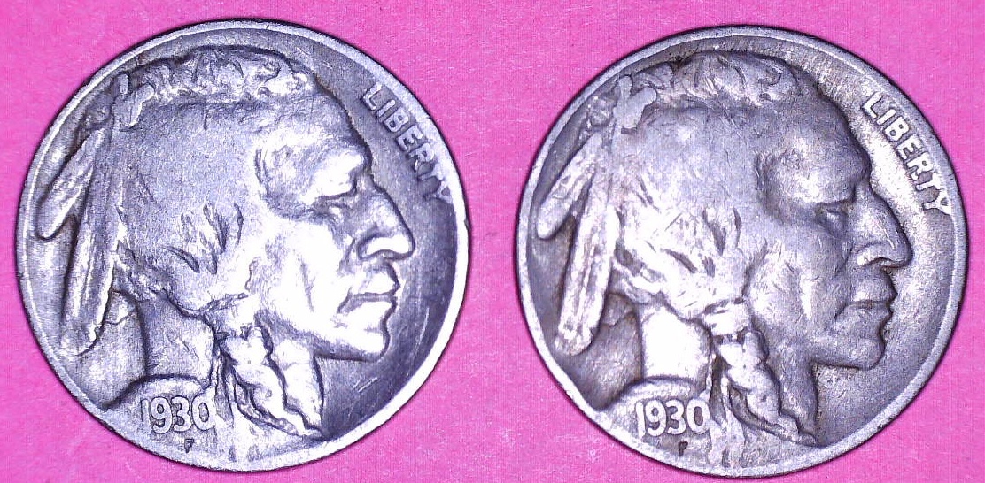 1930 Buffalo Pair Obverse.jpg