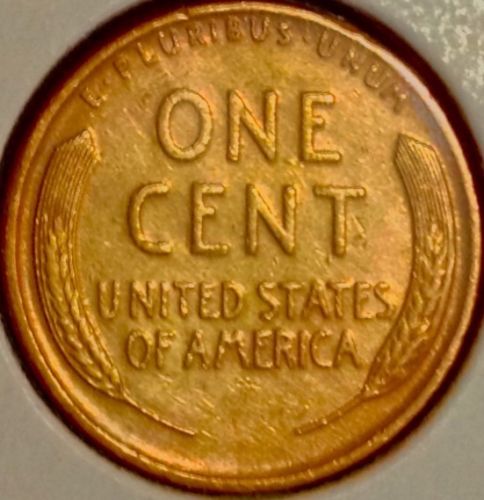 19302.jpg