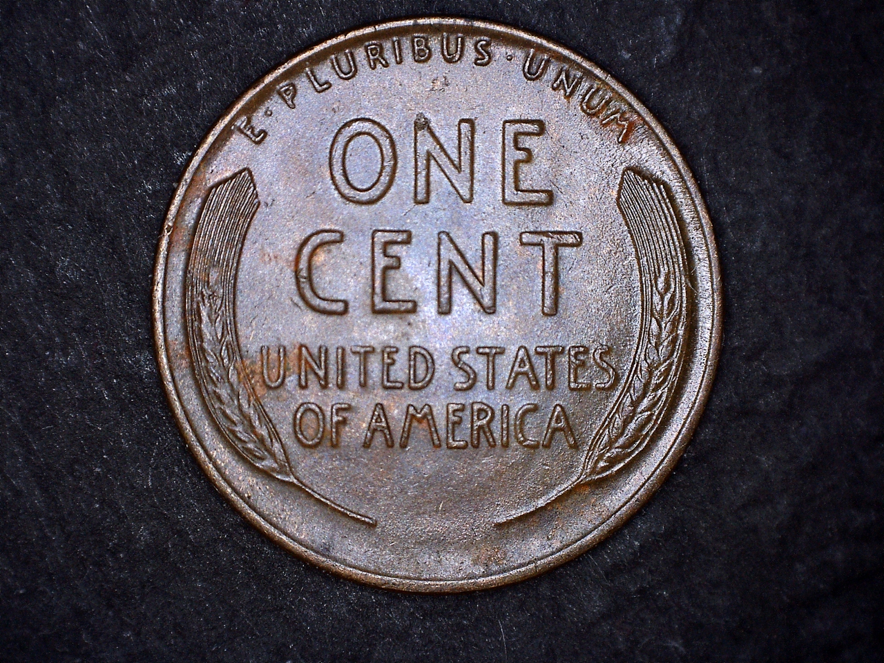 1931D r.jpg