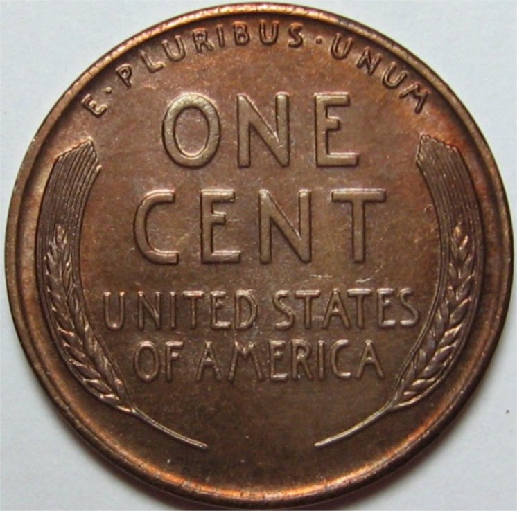 1931DnewREV.jpg
