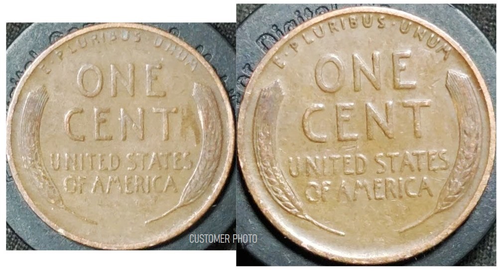 1931SConservation_PeteCCrev_20MAR2022.jpg
