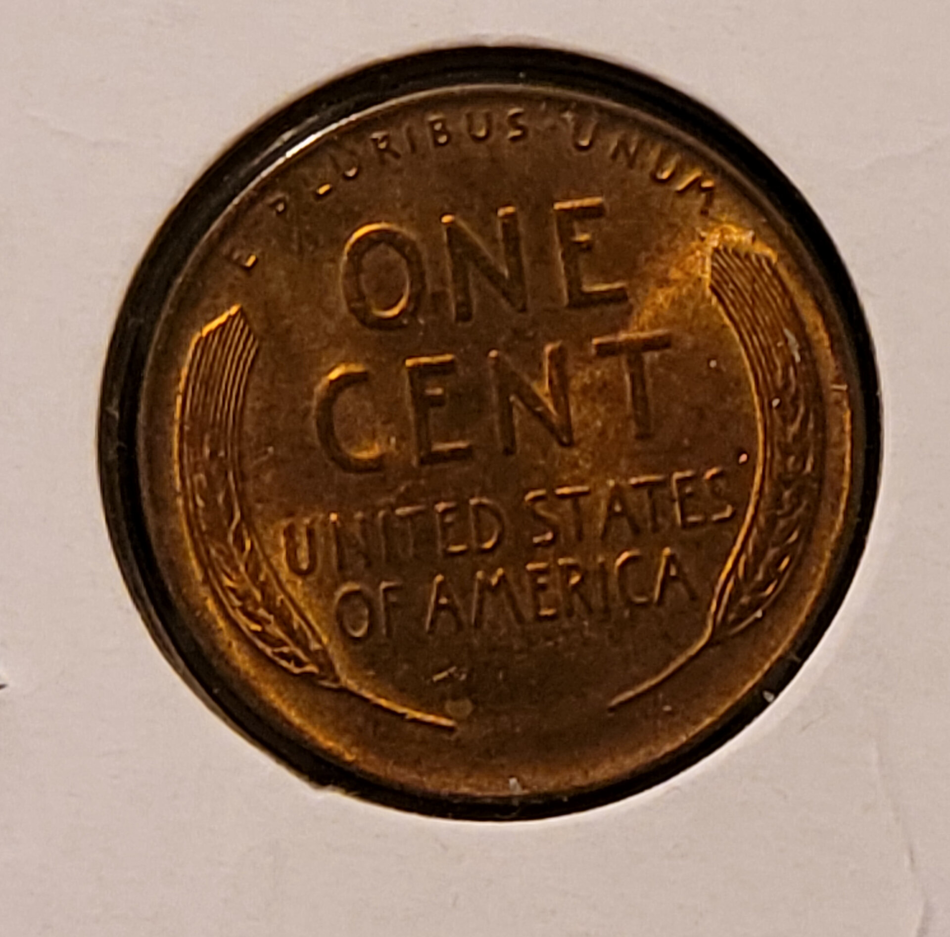 1933 P reverse.jpg