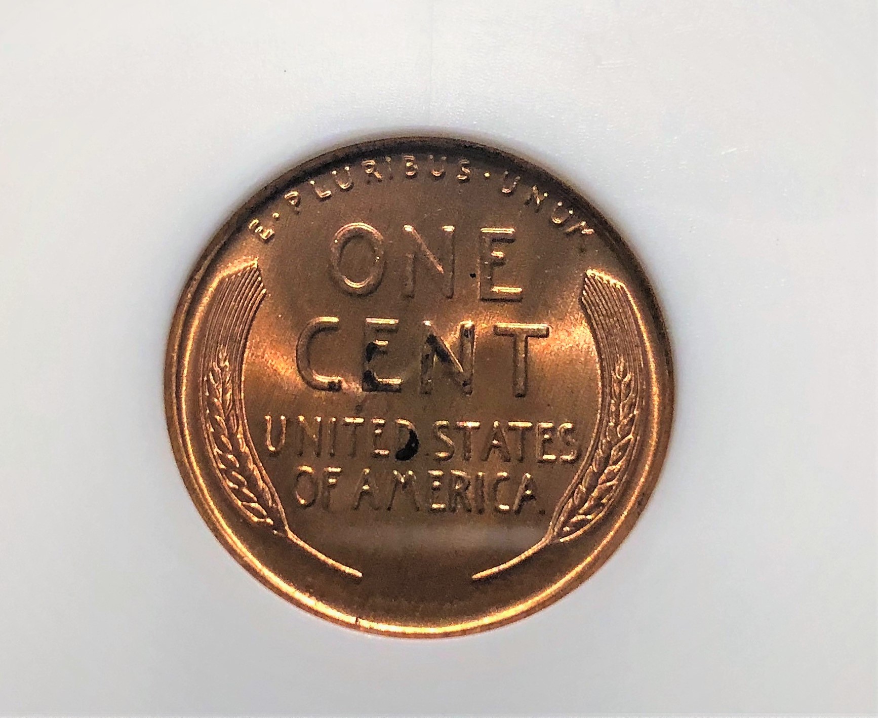 1934 lincoln ms 67 ANACS 4 (2).jpg