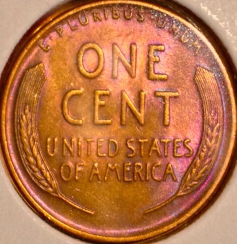 19342.jpg