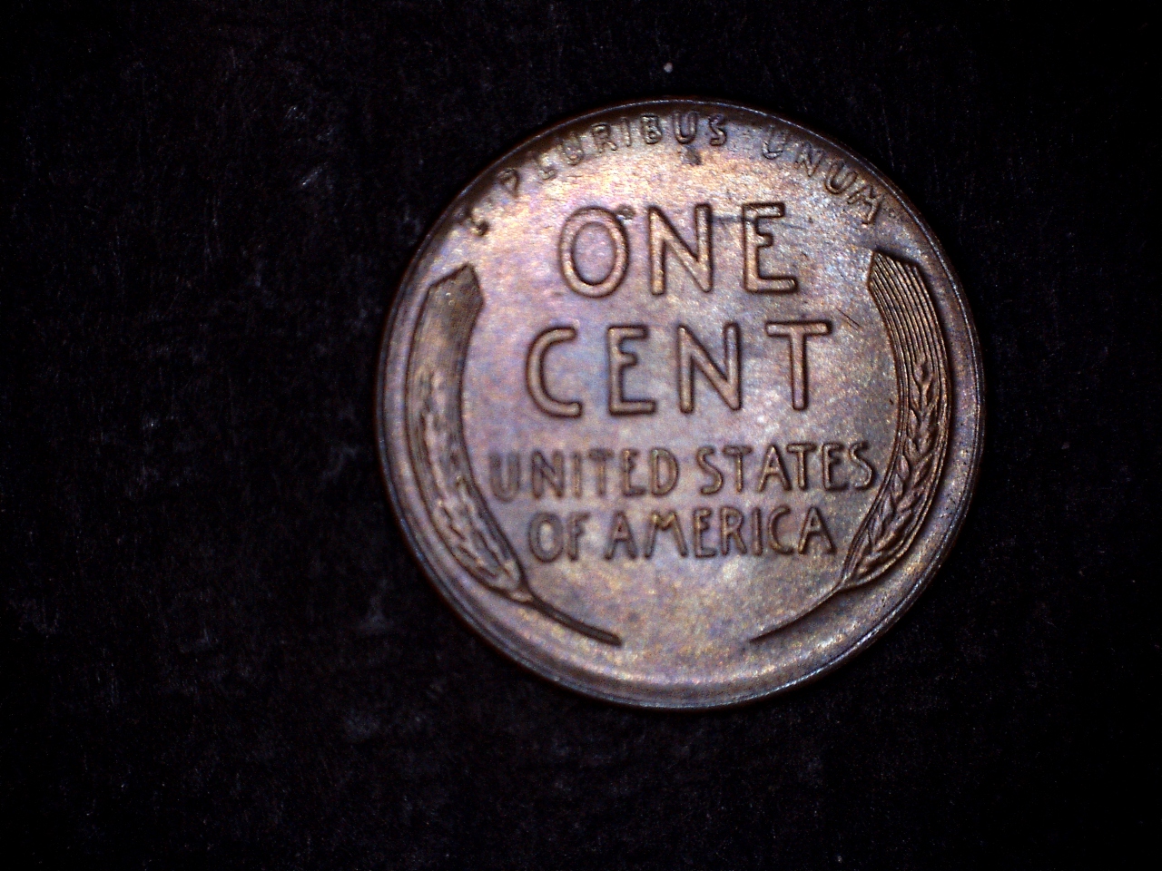 1934D r.jpg
