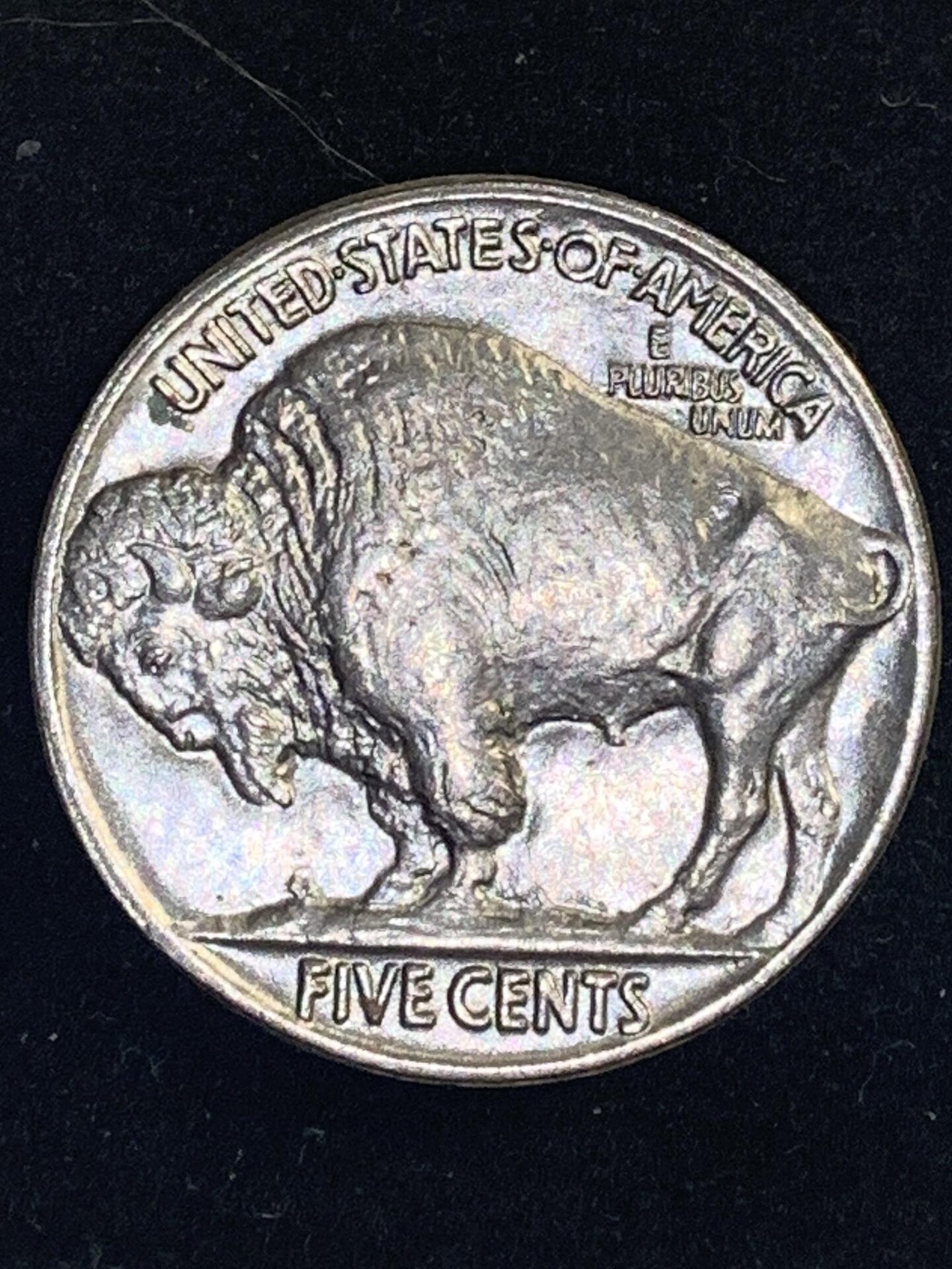 1935buffrev.jpg