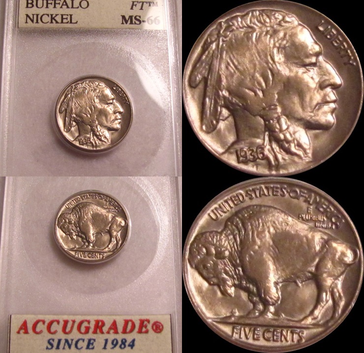 1936 Buffalo AGC MS66 1-tile.jpg