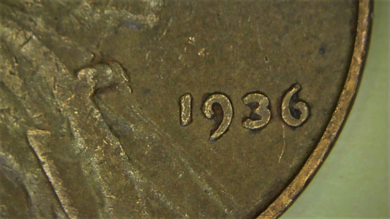 19361 (5).jpg