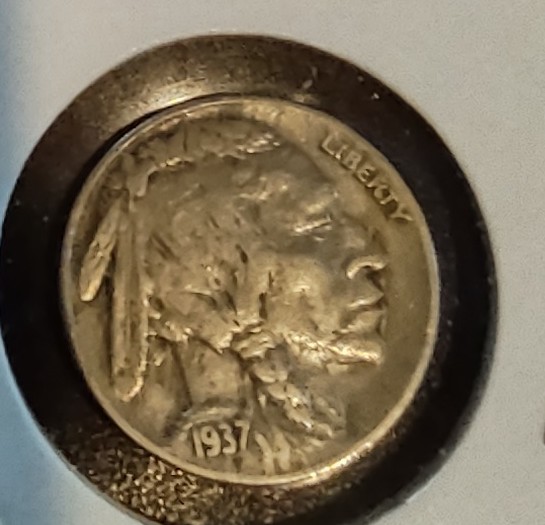 1937 Buffalo 3 legged.jpg