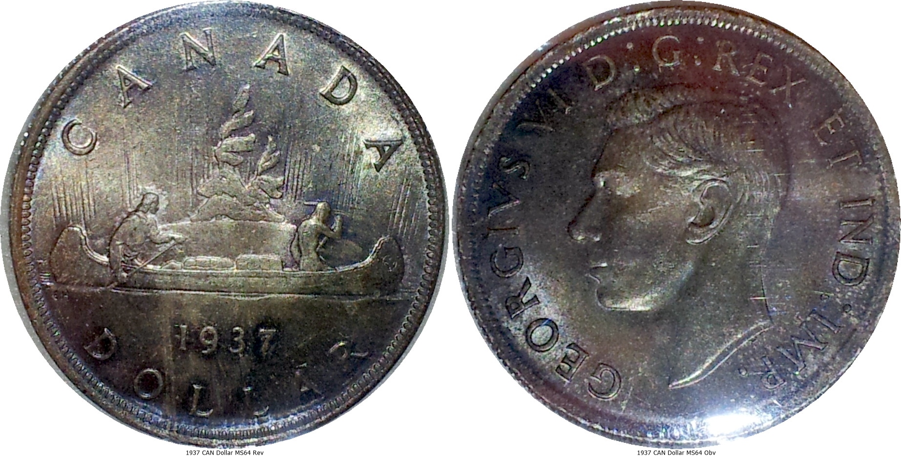 1937 CAN Dollar MS64 -tile.jpg