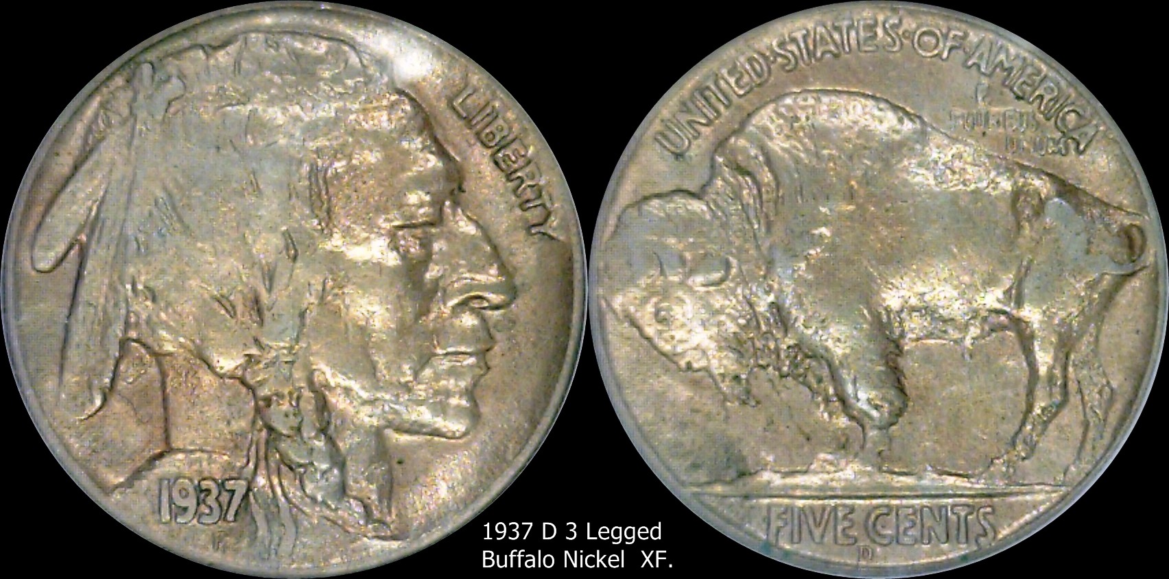 1937 D Buffalo Nickel XF.jpg